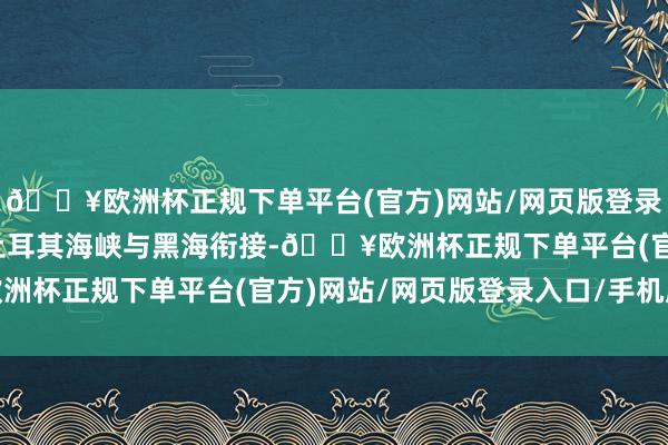 🔥欧洲杯正规下单平台(官方)网站/网页版登录入口/手机版东北通过土耳其海峡与黑海衔接-🔥欧洲杯正规下单平台(官方)网站/网页版登录入口/手机版