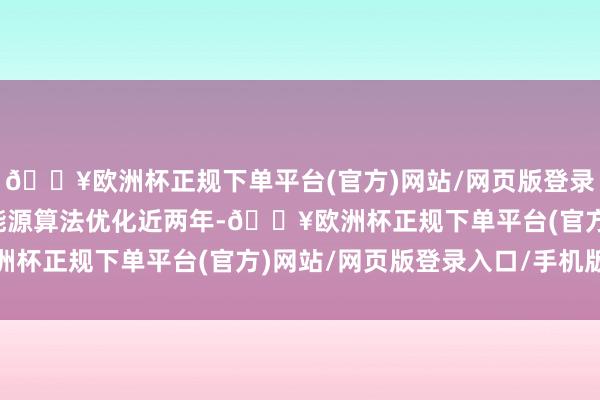 🔥欧洲杯正规下单平台(官方)网站/网页版登录入口/手机版软件界说能源算法优化近两年-🔥欧洲杯正规下单平台(官方)网站/网页版登录入口/手机版