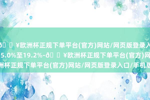 🔥欧洲杯正规下单平台(官方)网站/网页版登录入口/手机版同比增长15.0%至19.2%-🔥欧洲杯正规下单平台(官方)网站/网页版登录入口/手机版